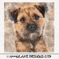 Dog - Border Terrier splatter