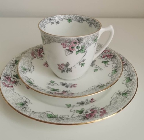 Vintage shelley bramble rose - shelley,