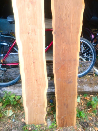 Hardwood live edge wood - live,