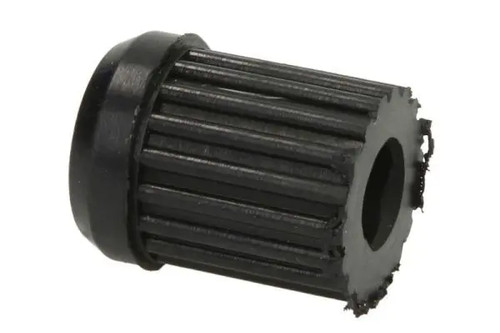 Spring bush rear - spring,
