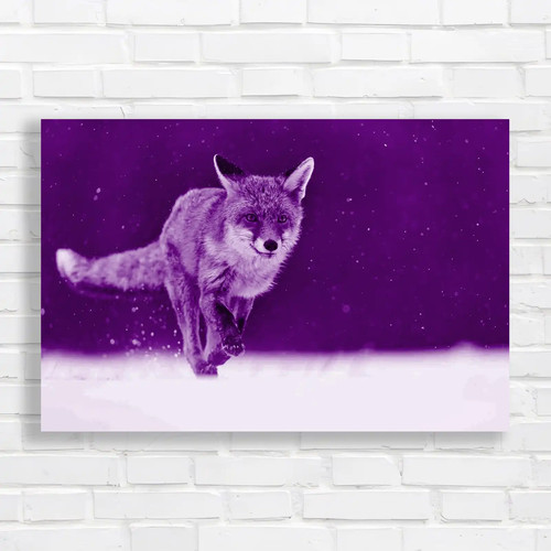 Fox hunting snow wildlife - hunting,