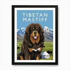 Tibetan Mastiff Art Print