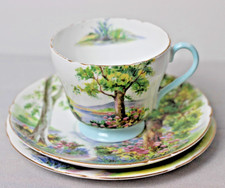 RARE. Shelley fine china