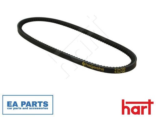 Belt for atlantic carat - v-belt,