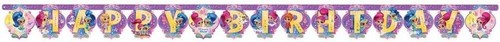 Shimmer and shine party - and, &