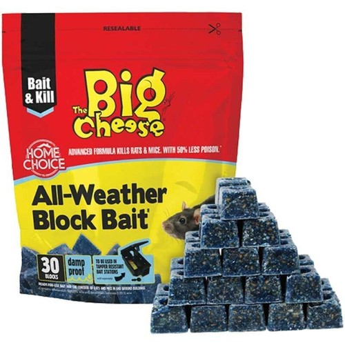 Big cheese professional - big,