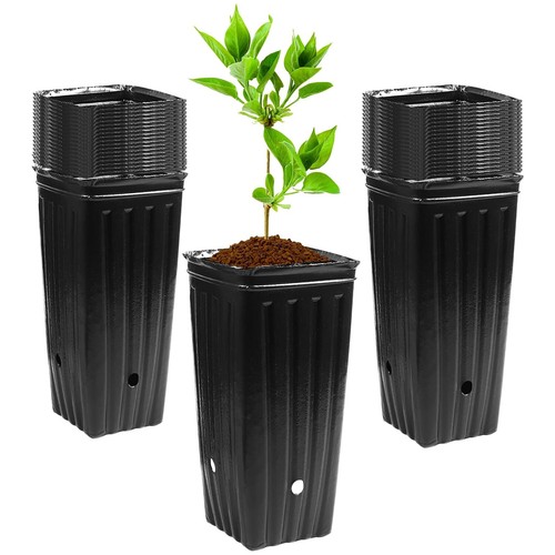 30pcs tall tree pots - 30pcs,