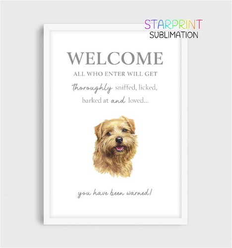 Norfolk terrier welcome - terrier, "welcome"