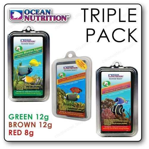 Ocean nutrition marine - nutrition, algae