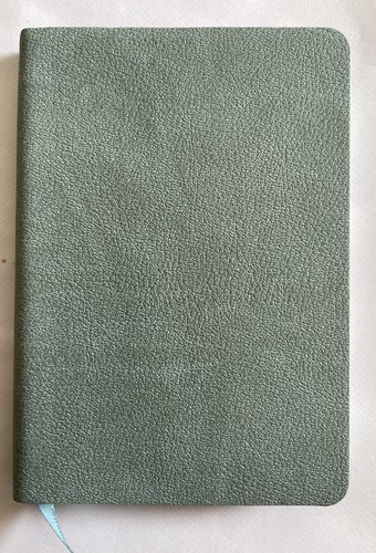 Flame tree journal duck - a6,