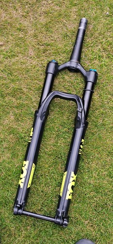 Fox performance elite - fox, 34