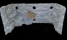 3D Reptile BACKGROUND FOR