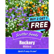 Rockery Mixture Scatter Seeds - 900 Seeds Garden Plant Pots Tubs Baskets