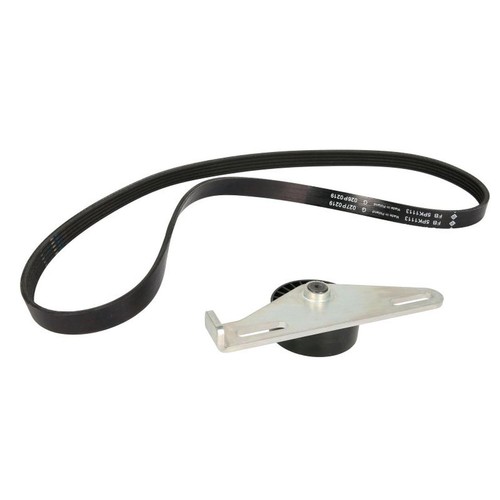 Belts set fits dacia - v-belts,