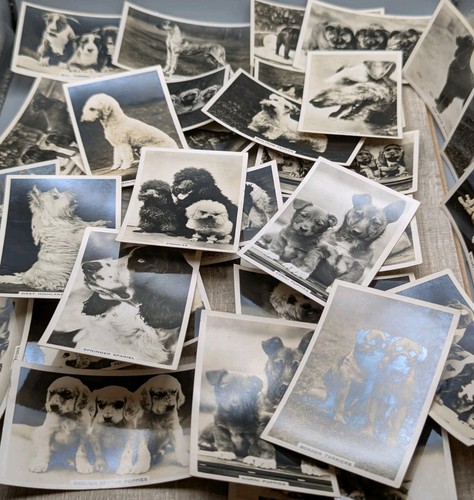 Senior service cigarette cards - service,