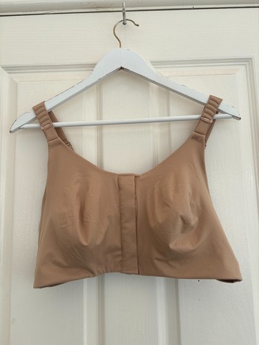 Marks and spencer s rose - marks,
