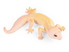 Leopard Gecko Lizard Animal