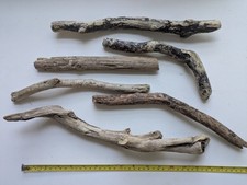 Unique Driftwood Pieces x6