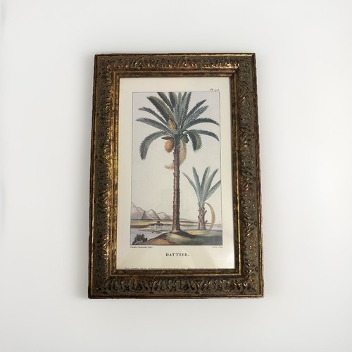 Vintage antique date - palm, tree