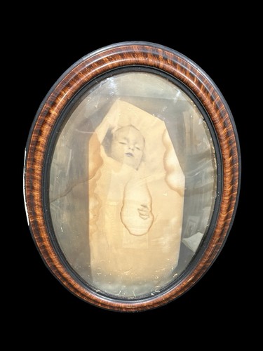 Antique 1800 large dead - antique,