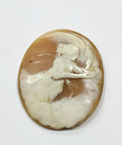 Antique carved shell cameo - antique,