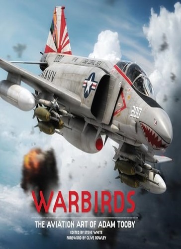 Warbirds the aviation art of - the,