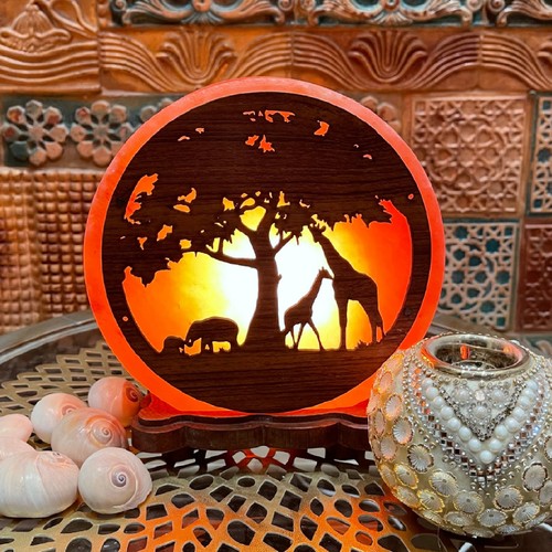 Himalayan salt round lamp - salt,