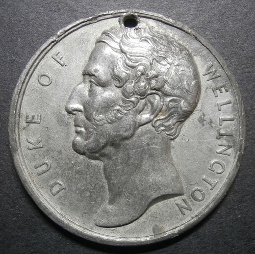 Medallion duke of wellington - medallion,