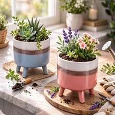 Set of 2 Colourful Blue & Pink