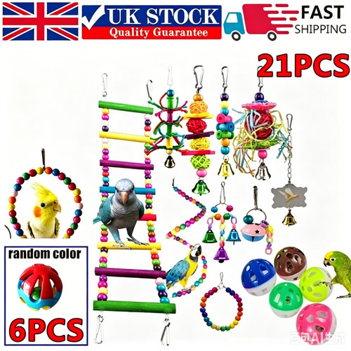Pack parrot toys - toys, set