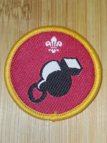 Scouting cub scout - scouting, activity