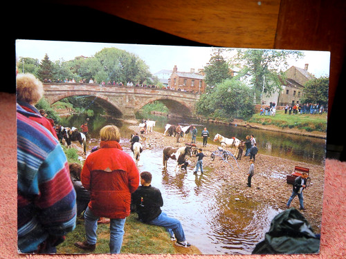 Washing horses appleby fair - horses,