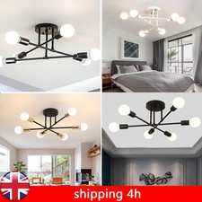 Chic LED Lamp Ceiling Light