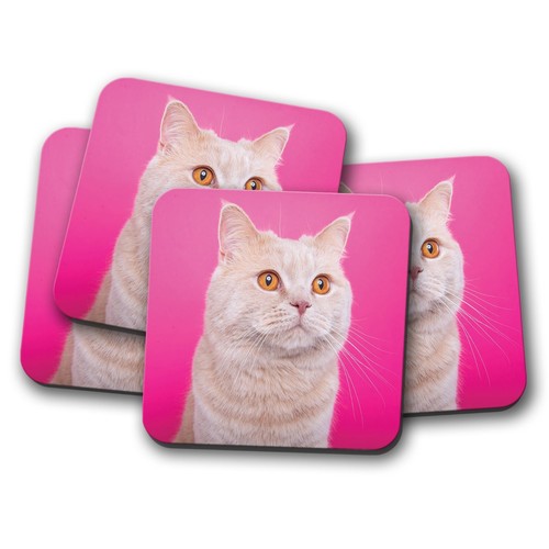 Set beautiful cat coaster - beautiful,