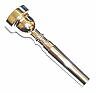 Trumpet mouthpiece silver - trumpet,