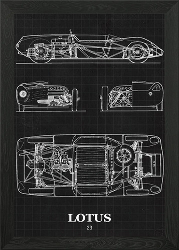 Lotus framed wall art - lotus,