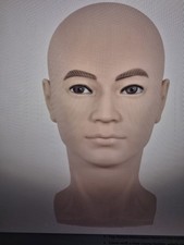Male Training Head Bald