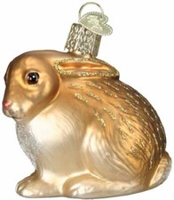 Brown Cottontail Rabbit Blown