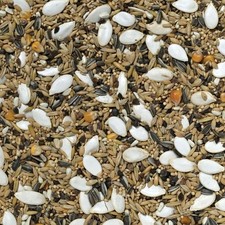 Johnston and Jeff Galah and