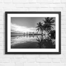 Luxury Infinity Pool With Palm