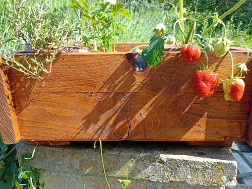 Wooden planter hand made in - planter.,