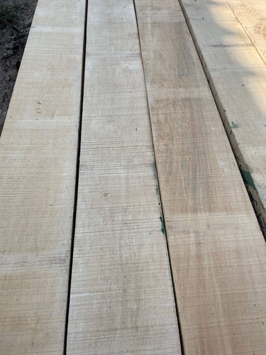Jelutong rough sawn boards - rough,