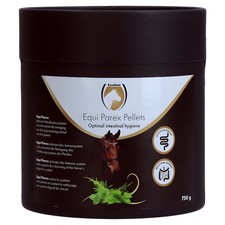 Excellent Horse Parex for