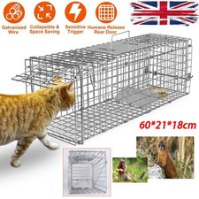 Animal trap cage - cage, &