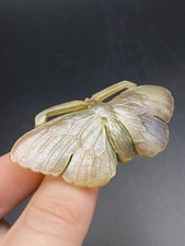 Antique Art Nouveau Carved Horn  Moth Brooch
