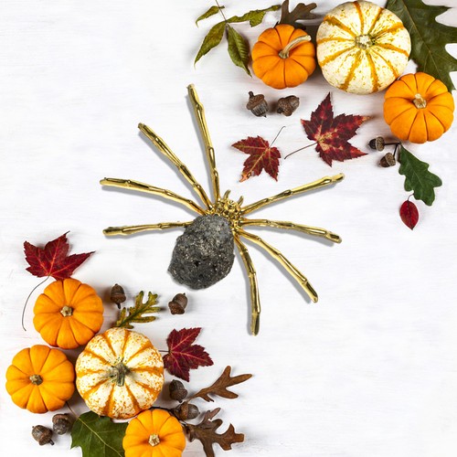 Halloween spider party layout - ,