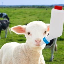 Lamb Milk Bottle with Scale