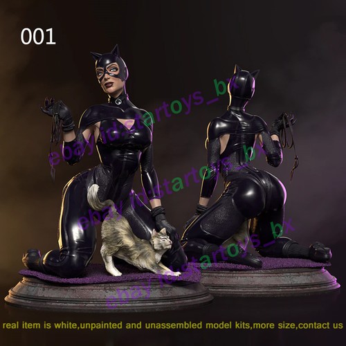 Catwoman kneeling 4 - catwoman,