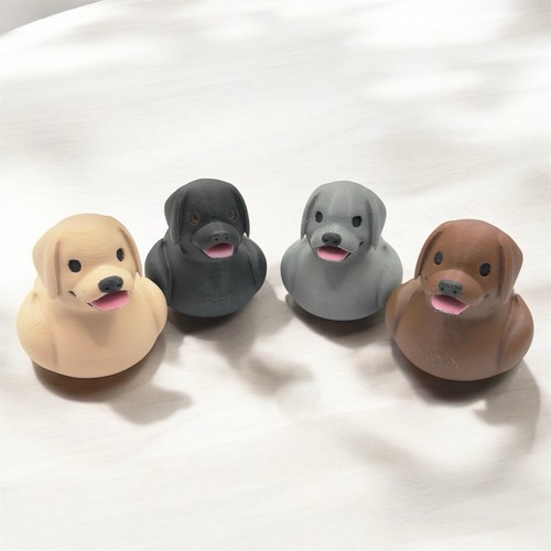 Labrador dog duck yellow - labrador,