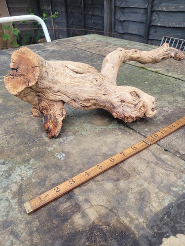Aquarium bogwood - aquarium,